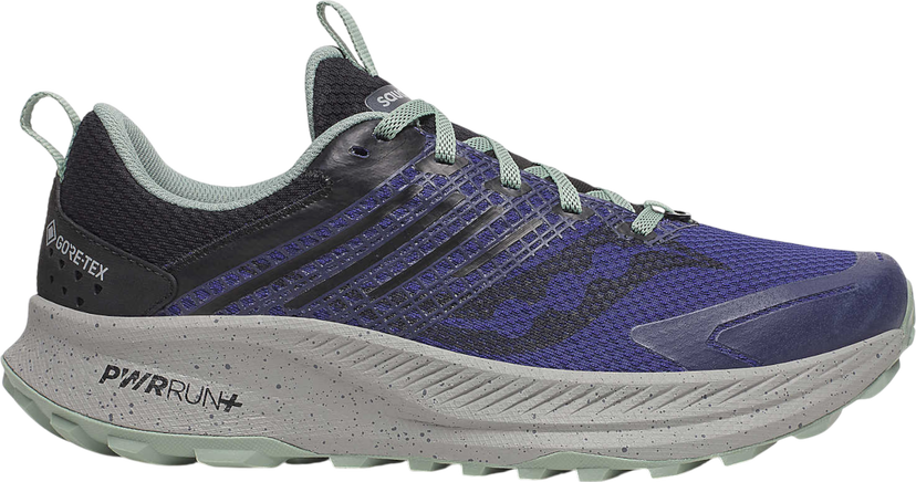 Кецове и обувки Saucony RIDE TR2 GTX Лилаво | s20953-260