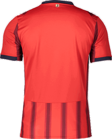 Фланелка Puma Puma 1. FC Heidenheim 2025/26 Jersey Червено | 6fch785893-01, 1