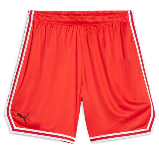 Къси панталони Puma Hoops Team Game Short Червено | 676629-04