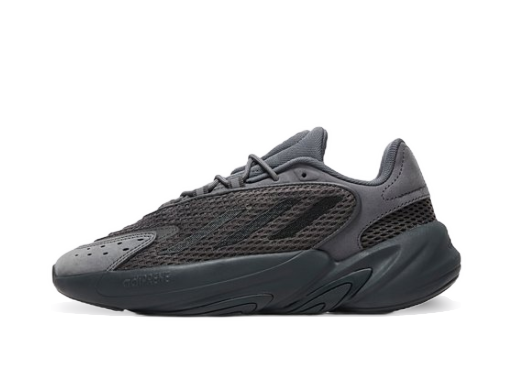 Кецове и обувки adidas Originals Ozelia W Сиво | GX3254