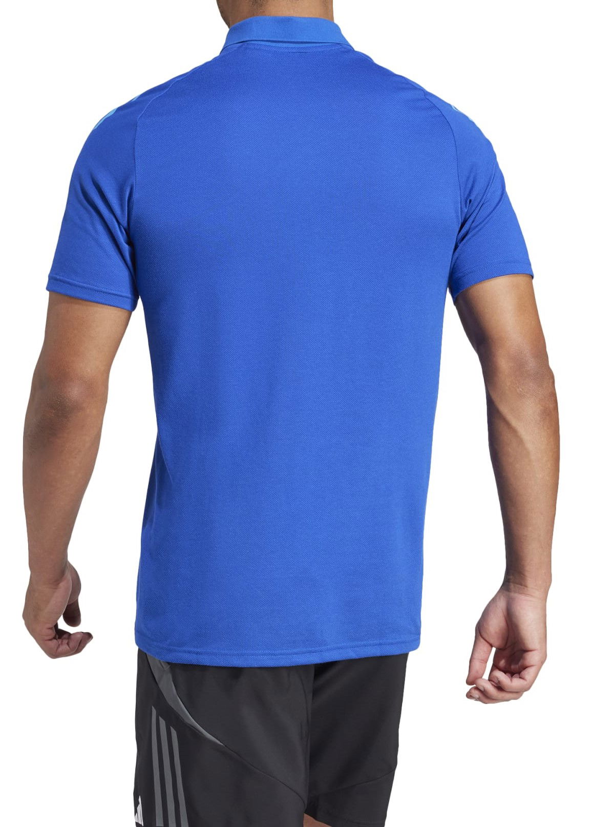 Поло тениска adidas Originals adidas TIRO24 C POLO Синьо | ir7566, 1