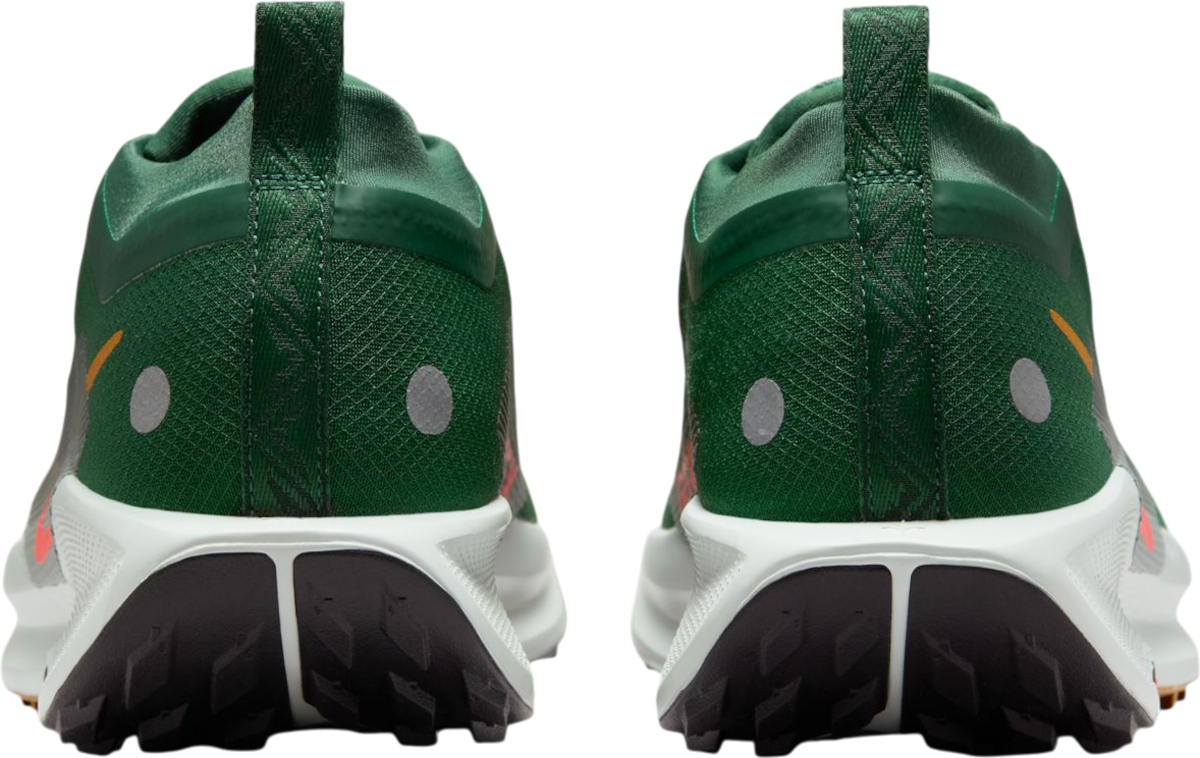 Кецове и обувки Nike Pegasus Trail 5 GORE-TEX Зелено | fq0908-301, 1