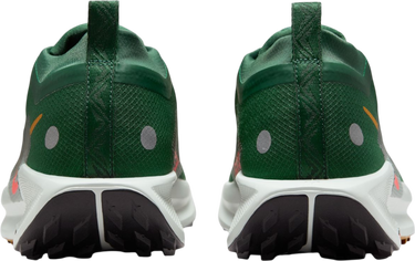 Кецове и обувки Nike Pegasus Trail 5 GORE-TEX Зелено | fq0908-301, 1