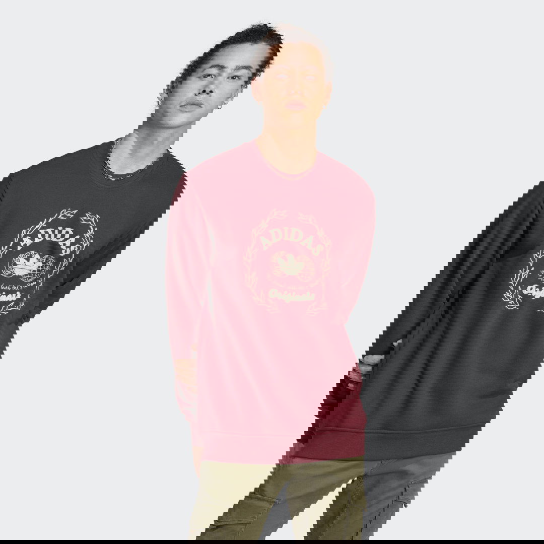 Пуловер adidas Originals Graphics Archive Crew Бургунди | IC5770, 0