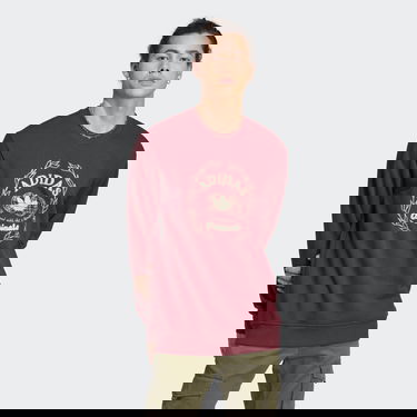 Пуловер adidas Originals Graphics Archive Crew Бургунди | IC5770, 0