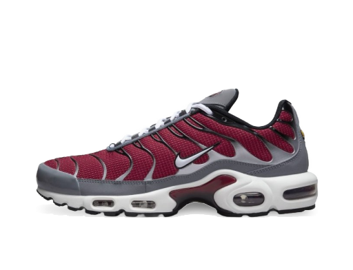 Lifestyle Nike Air Max Plus M Многоцветен | DQ3983-600