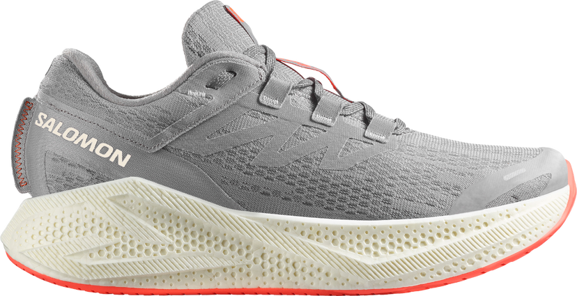 Кецове и обувки Salomon AERO GLIDE 3 Сиво | l47810-600