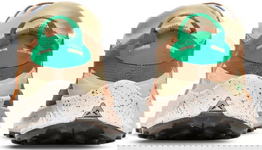 Кецове и обувки Nike Pegasus Trail 3 GTX Кафяво | dr0137-200, 4