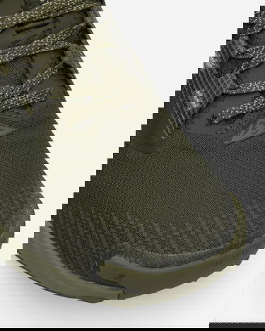 Кецове и обувки Nike Pegasus Trail 5 GORE-TEX Зелено | HQ7494-300, 6