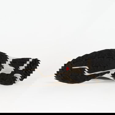 Кецове и обувки Salomon Xt-6 Бежово | L47989700, 1