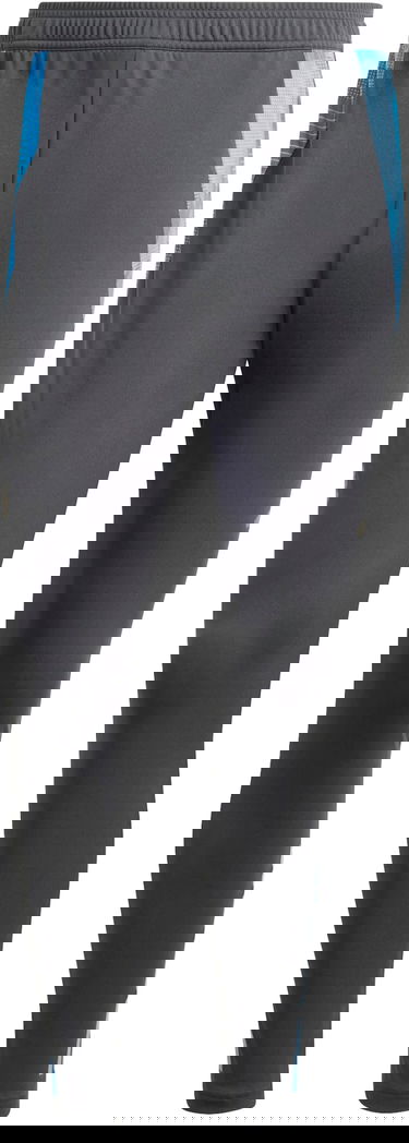 Панталони adidas Originals AFA TR PNT 2024 Сиво | iq0824, 1
