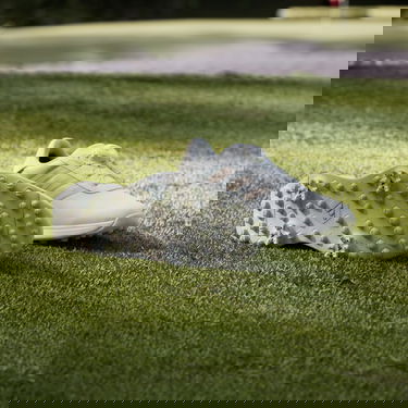 Облекло adidas Performance Boty S2G BOA 24 Golf Бяло | IF0320, 4