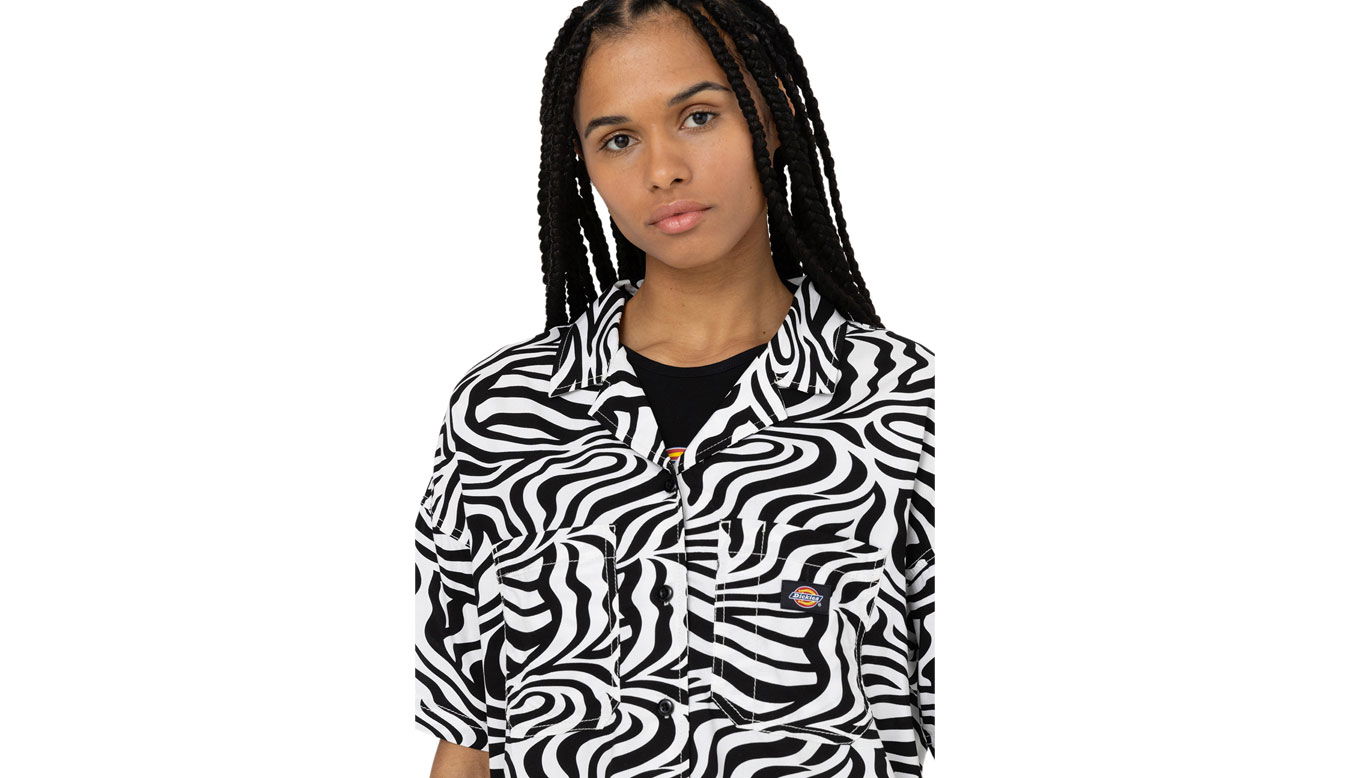 Тениска Dickies Leesburg Cloud Zebra Многоцветен | DK0A4Y7TF31, 1