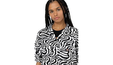 Тениска Dickies Leesburg Cloud Zebra Многоцветен | DK0A4Y7TF31, 1