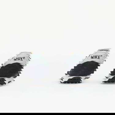 Кецове и обувки Nike Challenger OG Сиво | CW7645-007, 3