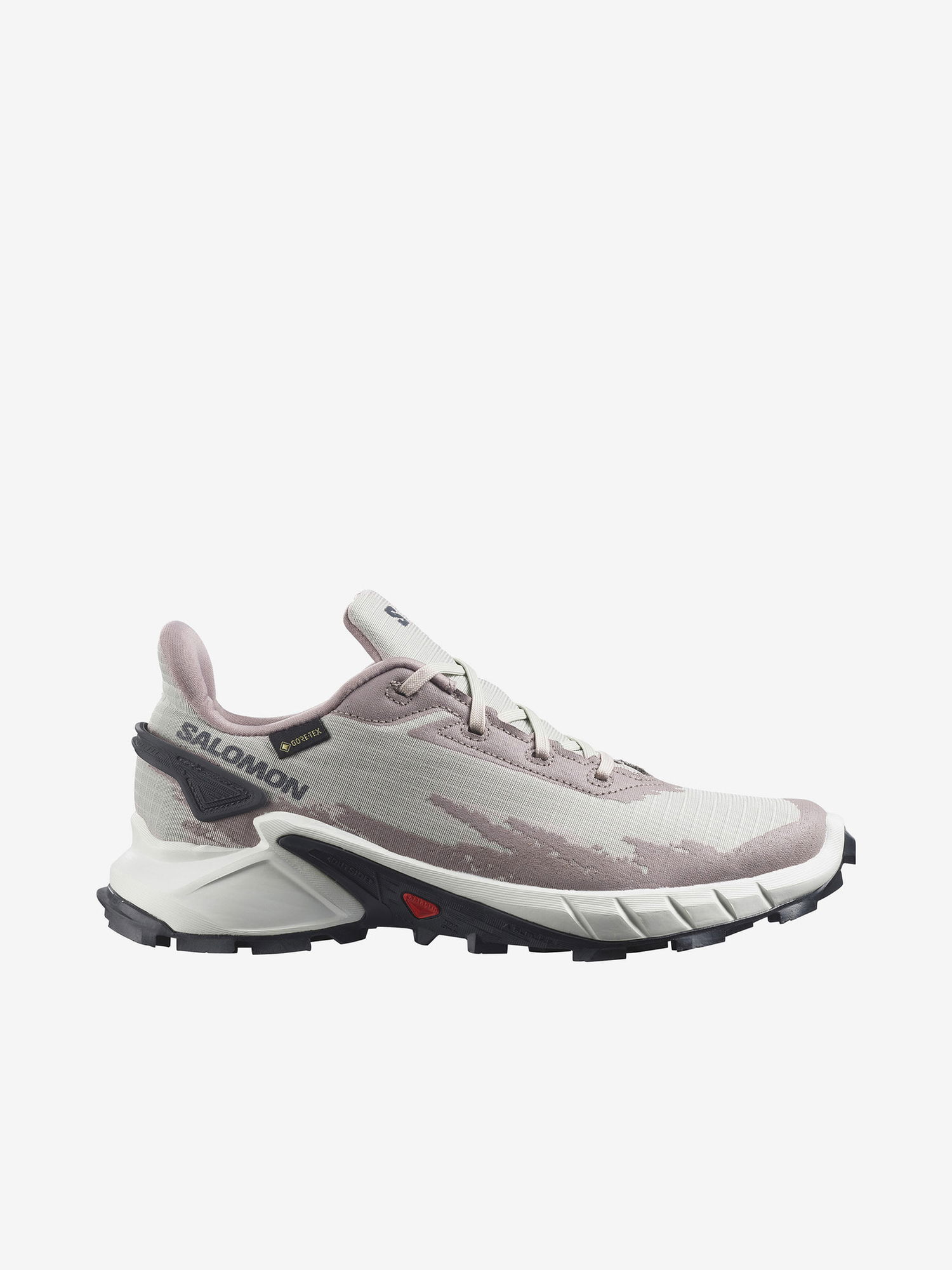 Кецове и обувки Salomon Alphacross 4 GTX Сиво | L41723200, 1