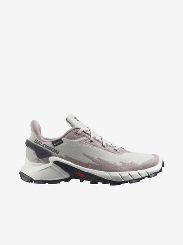 Кецове и обувки Salomon Alphacross 4 GTX Сиво | L41723200, 1