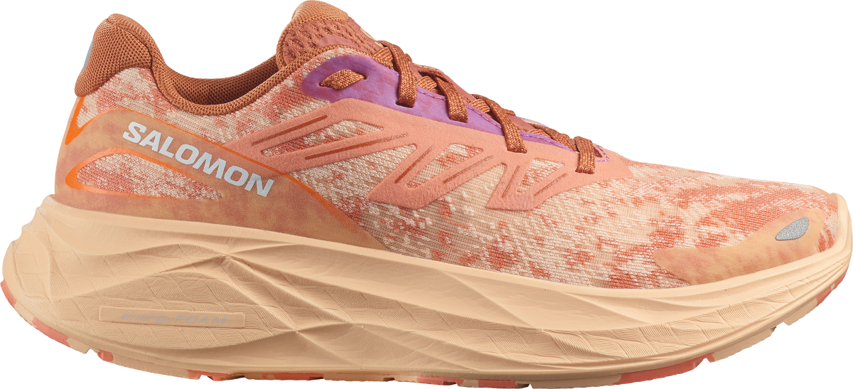 Кецове и обувки Salomon AERO GLIDE 2 W Бежово | l47426600, 0