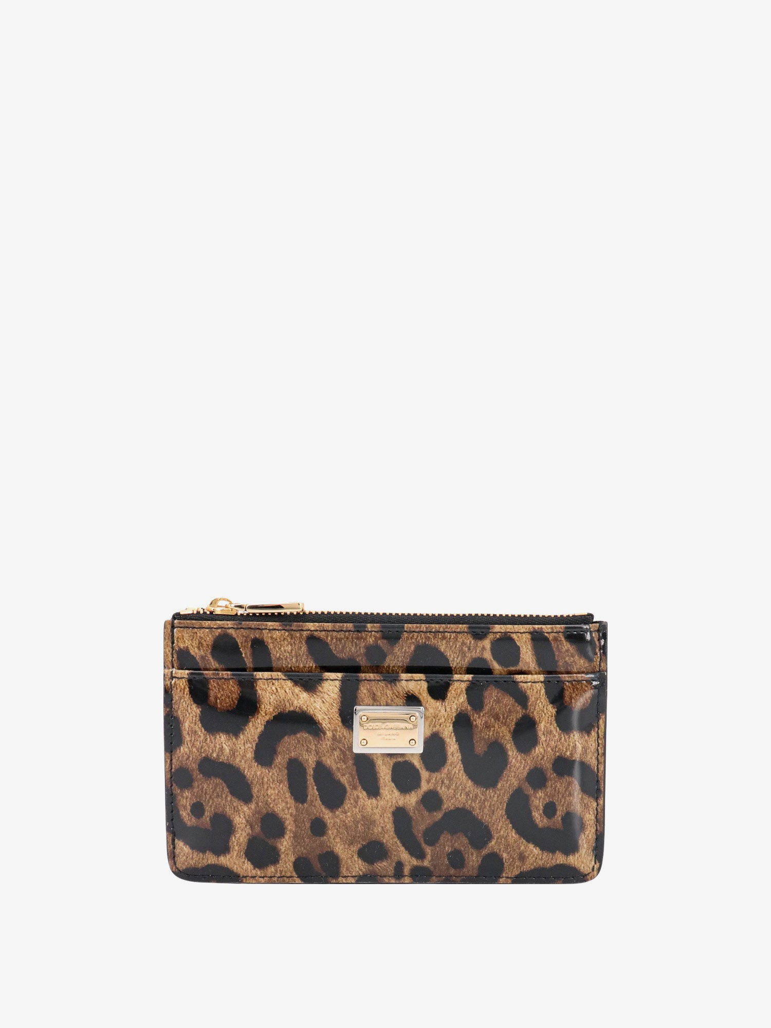 Портфейл Dolce & Gabbana CARD HOLDER Кафяво | BI1261AM568HA93M, 0