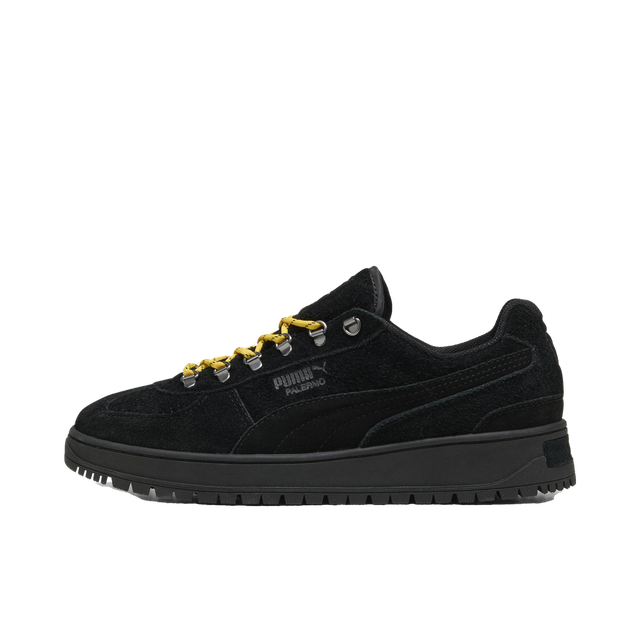 Palermo Alpino Fuzzy