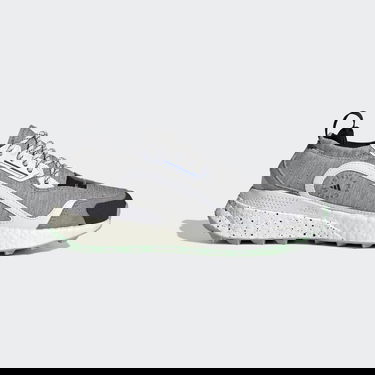 Кецове и обувки adidas Performance Stella McCartney x COLD.RDY OutdoorBoost 2.0 Сиво | GY0465, 1