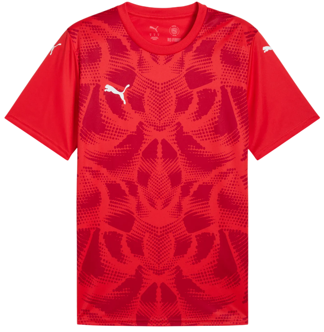 Puma teamULTIMATE Jersey