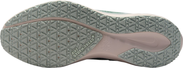 Кецове и обувки Nike Pegasus 41 GORE-TEX Многоцветен | fq1356-007, 4