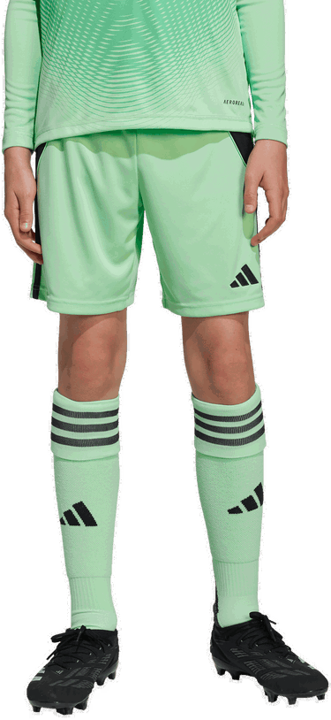 Къси панталони adidas Originals adidas TIRO24 Shorts Зелено | jc6204, 2