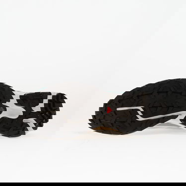 Кецове и обувки Salomon XT-6 Бежово | L47864300, 1