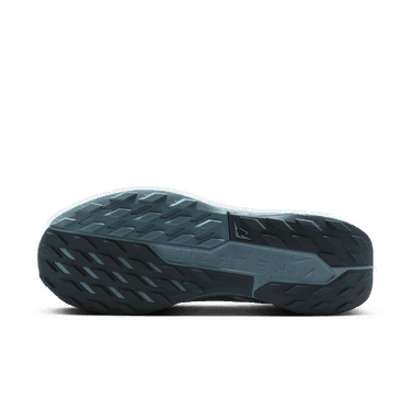 Кецове и обувки Nike Pegasus Trail 5 GORE-TEX Синьо | FQ0908-005, 2