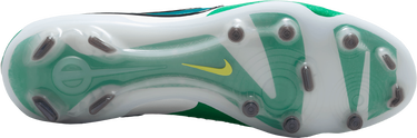 Кецове и обувки Nike LEGEND 10 ELITE FG LV8 Зелено | hj7272-300, 2