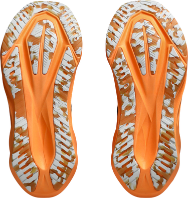 Кецове и обувки Asics NOVABLAST 5 LITE-SHOW Многоцветен | 1011c119-400, 2