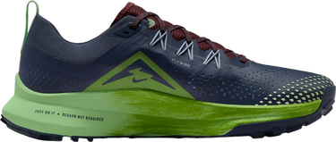 Кецове и обувки Nike Pegasus Trail 4 Многоцветен | dj6158-403, 2