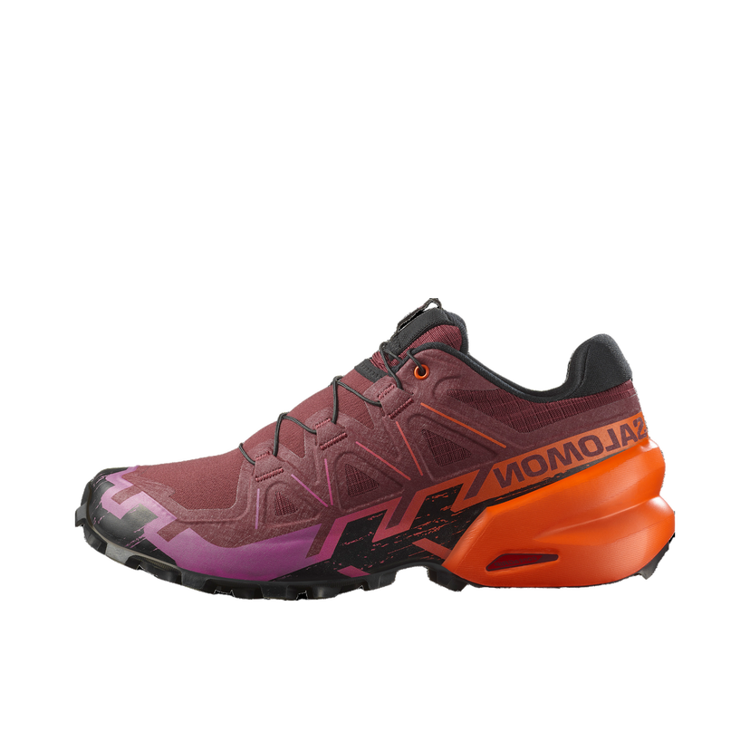 Кецове и обувки Salomon Salomon Speedcross 6 Многоцветен | l47960900