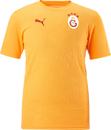 Тениска Puma Galatasaray Istanbul Training T-Shirt Оранжево
 | 77969511-202, 0