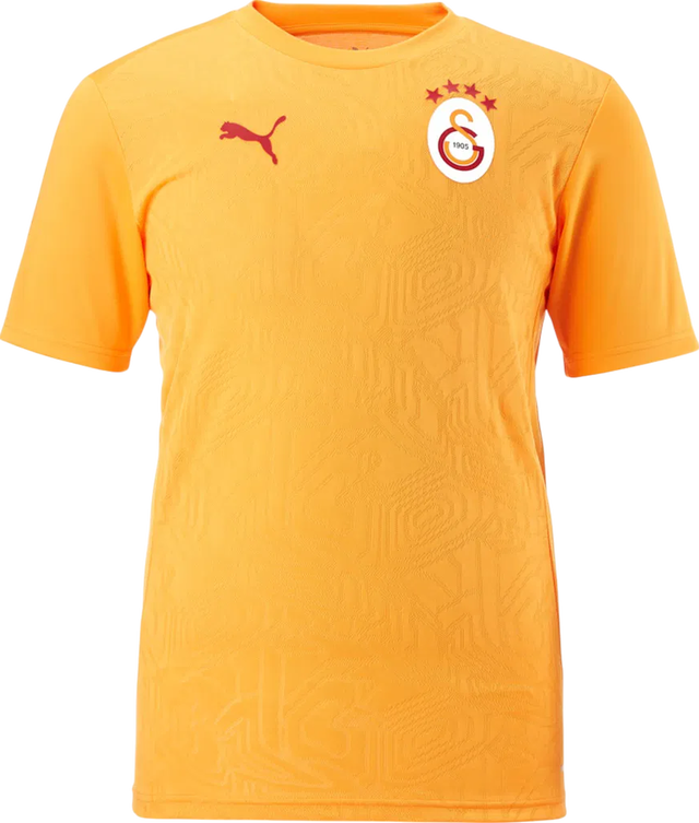 Galatasaray Istanbul Training T-Shirt