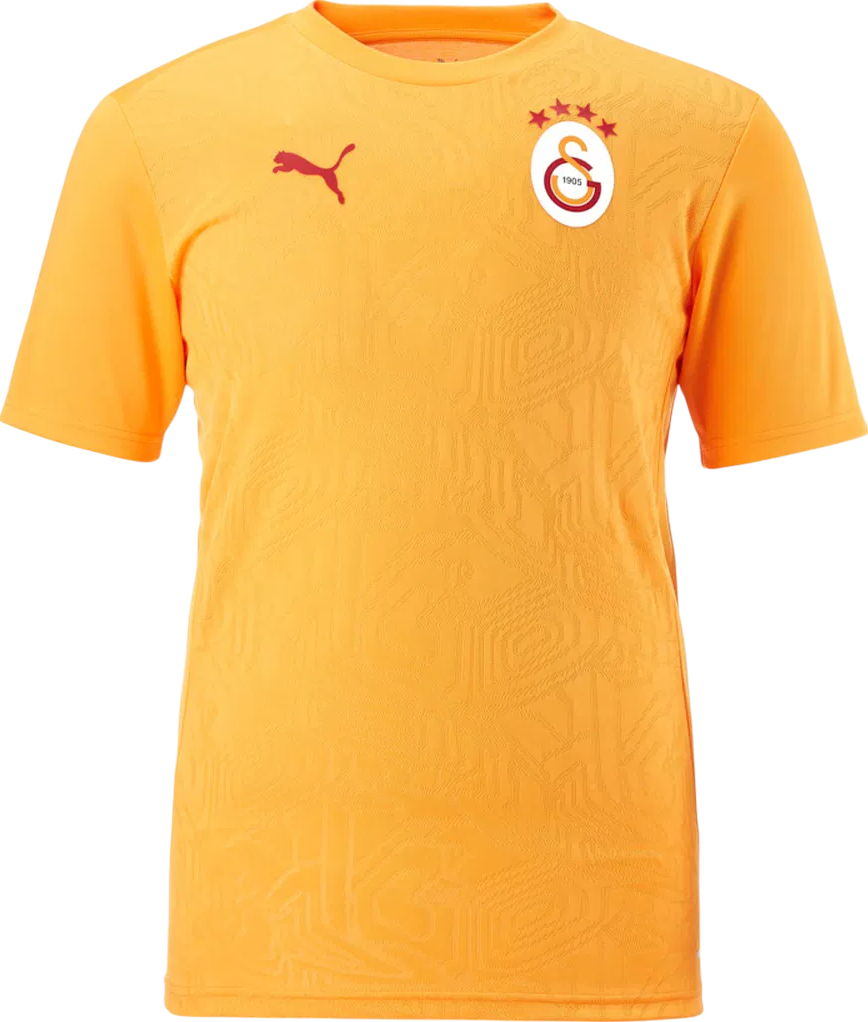 Тениска Puma Galatasaray Istanbul Training T-Shirt Оранжево
| 77969511-202, 0