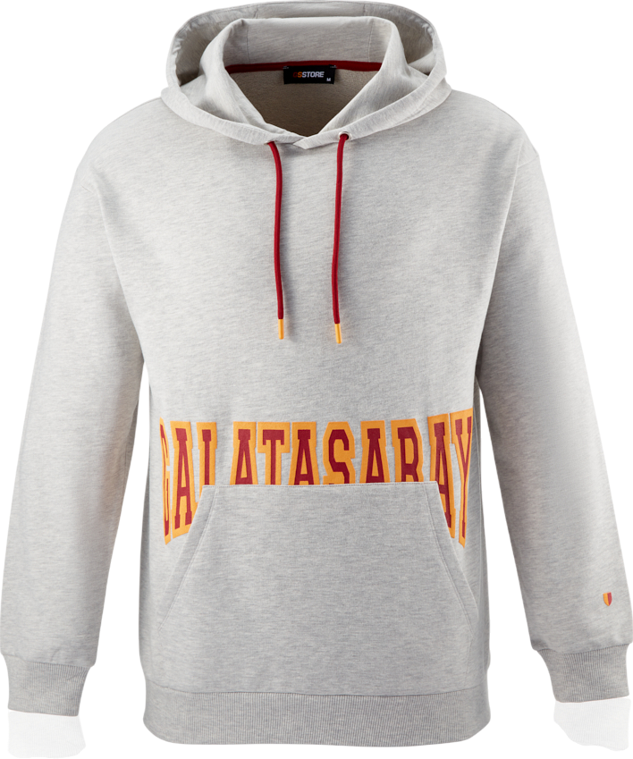 Суитчър Puma Galatasaray Istanbul Hoodie with Text Print Сиво | e251075-306
