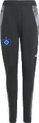 Hamburger SV trackpant kids