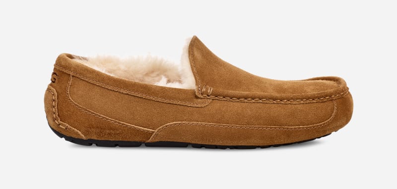 Кецове и обувки UGG ® Ascot Slipper in Brown, Size 10, Leather Кафяво | 1101110W-CHE, 0