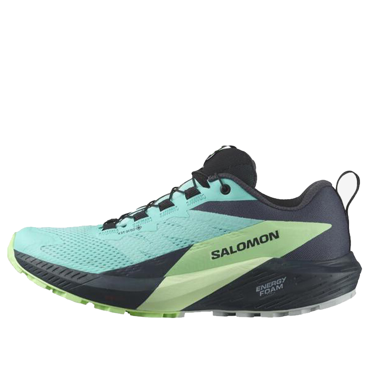 Кецове и обувки Salomon Sense Ride 5 GTX Зелено | 472160