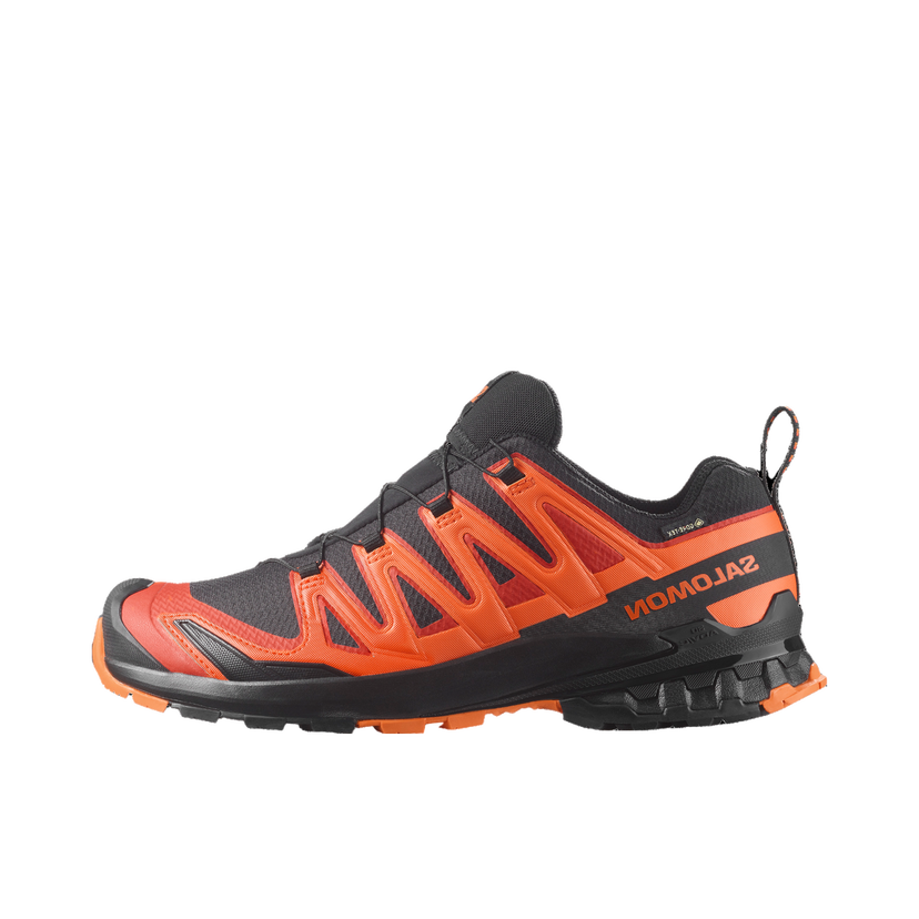 Кецове и обувки Salomon Salomon XA PRO 3D V9 GTX Оранжево
 | l47961000