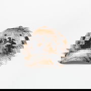 Palm Angels Curved Logo Check Cap