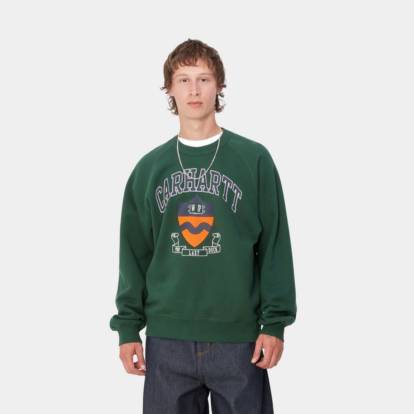 Пуловер Carhartt WIP Men's Green Relaxed-Fit Graphic Sweatshirt Зелено | I033936_9