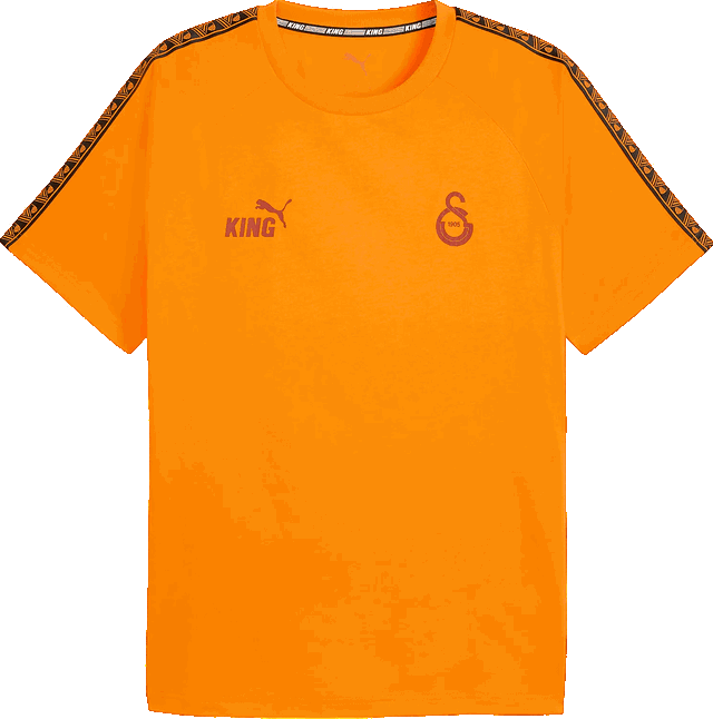 Puma Galatasaray King T-Shirt