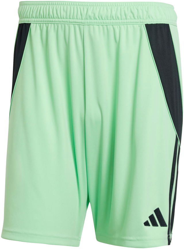 Adidas TIRO24 Training Shorts