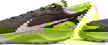 Кецове и обувки Nike Pegasus Trail 3 GTX "Dark Chocolate Volt" Зелено | do6728-200, 0