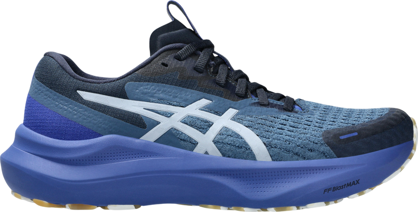 Кецове и обувки Asics GT-2000 14 LITE-SHOW Синьо | 1012b901-400