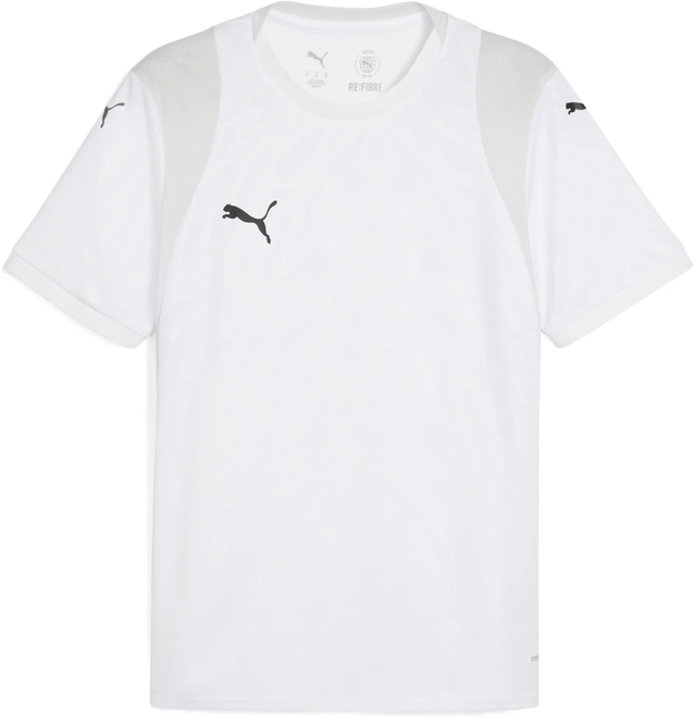 Puma teamCUP Training Jersey
