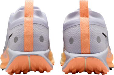 Кецове и обувки Nike Pegasus Trail 5 GORE-TEX Многоцветен | fq0912-011, 1
